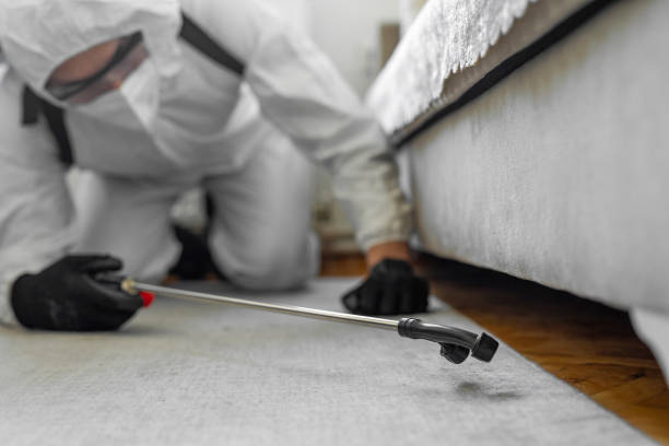 Professional Bed Bug Control technician working in Travis Ranch, TX